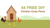 46 Beautiful DIY Chicken Coop Plans You Can Actually Build [Updated 2026]