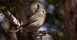 Nature-Based Solutions Play Key Role in Improving New Mexico’s Climate Resilience