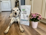 Our Expert’s Opinion — Dogster