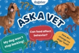 Ask Dr. Paola- Help! My Dog’s Won’t Stop Barking! (February 23, 2026) – Dogster