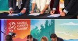 BirdLife International, National Audubon Society y CAF desarrollan un marco científico para bonos enfocados en la conservación de las aves migratorias y los ecosistemas en América Latina y el Caribe