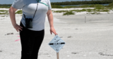 The Cost of a Single Step: Protecting Florida’s Nesting Shorebirds