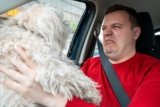 What’s That Smell??? How To Tell the Difference Between Normal Stinky Dog Breath and A Warning Sign — Dogster