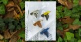 Four Fallen Songbirds Live on Through Origami