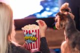 Dogs on the Screen and in the Audience for Brad Pitt’s New Film — Dogster